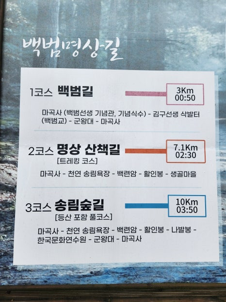 솔그린 이미지