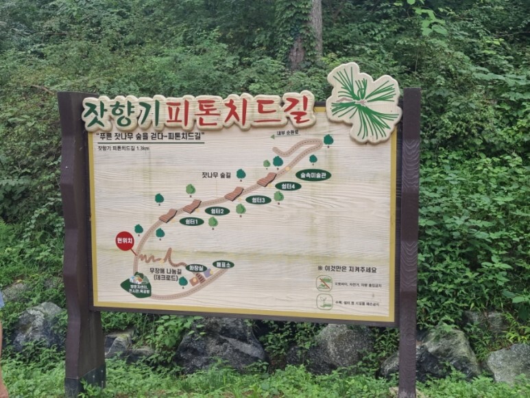 솔그린 이미지