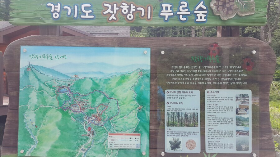 솔그린 이미지