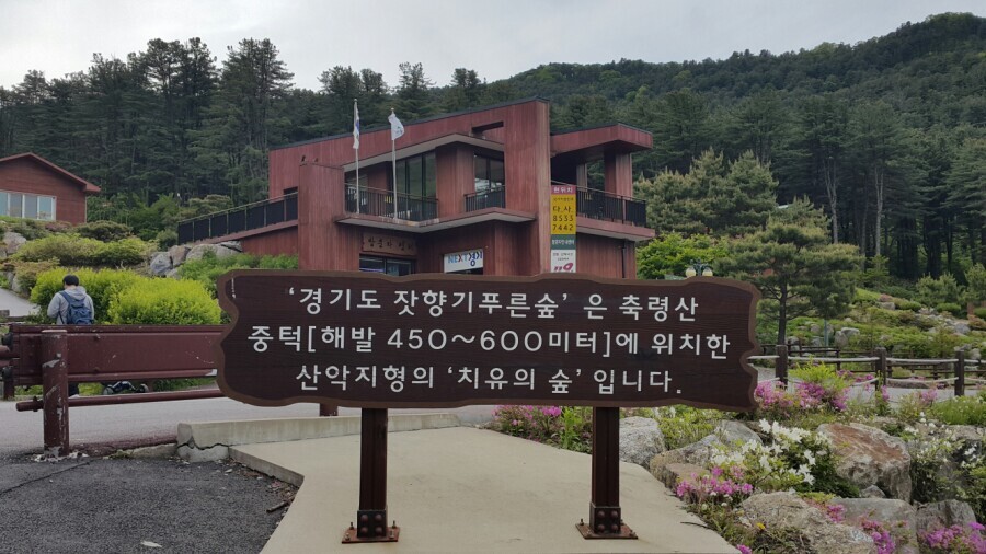 솔그린 이미지