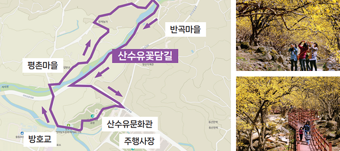 솔그린 이미지