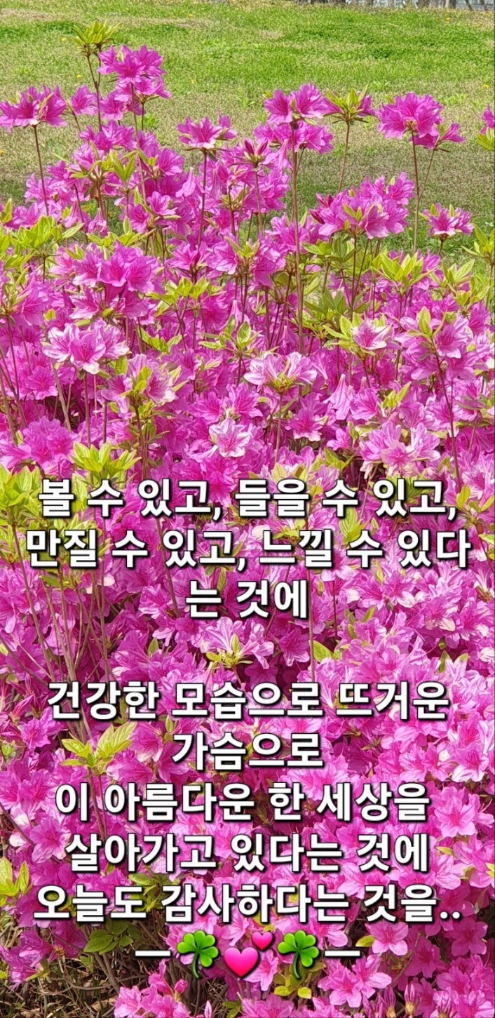 리제이 이미지