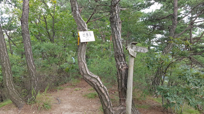 성치산 이미지