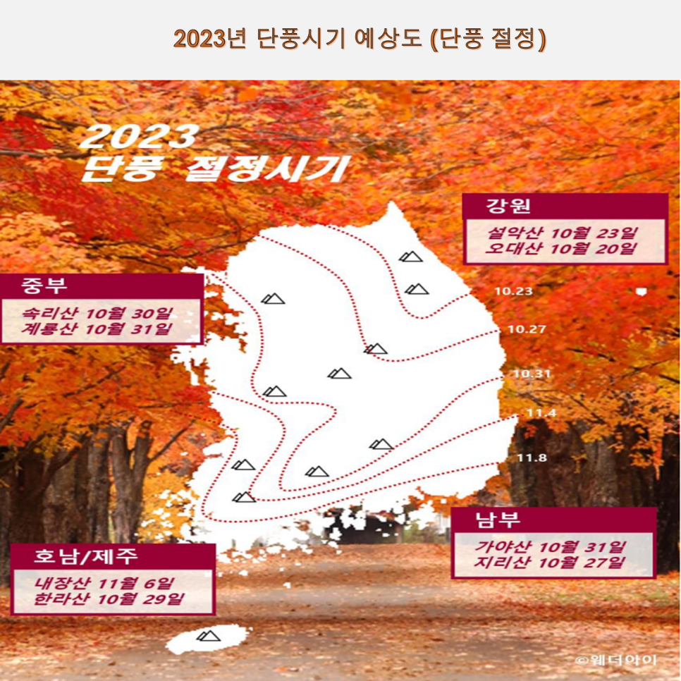 솔그린 이미지