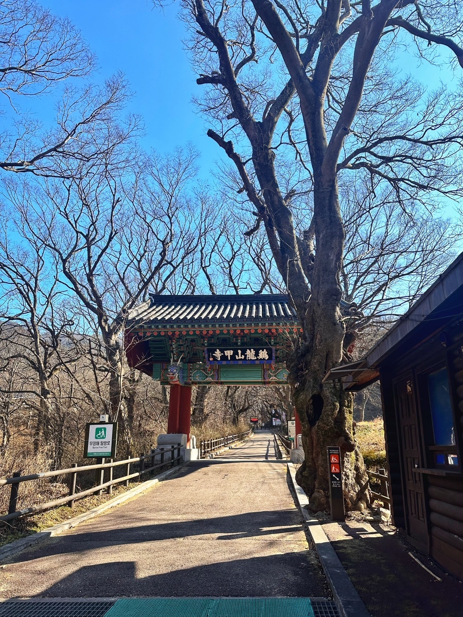 솔그린 이미지