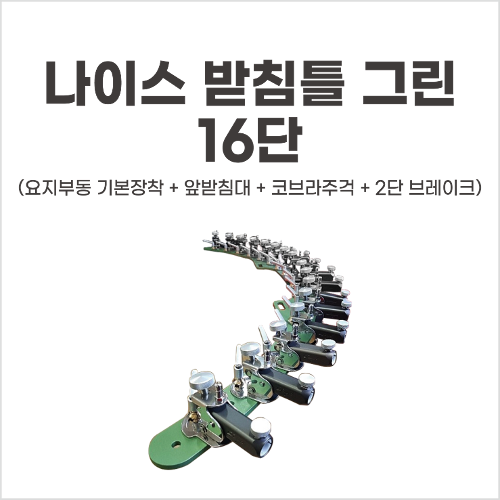 동일상사 이미지
