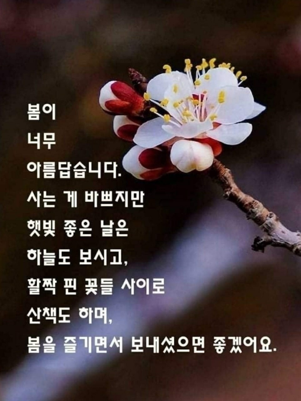 푸른초장 이미지