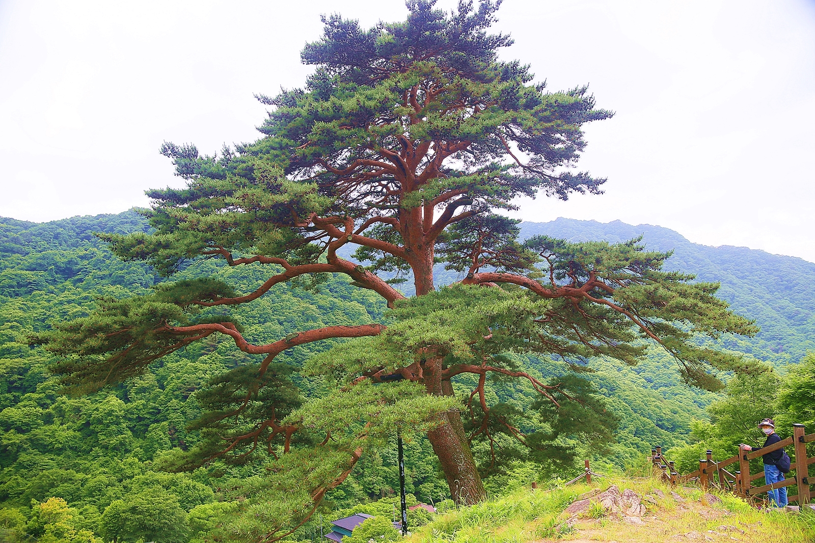 남원지리산 이미지
