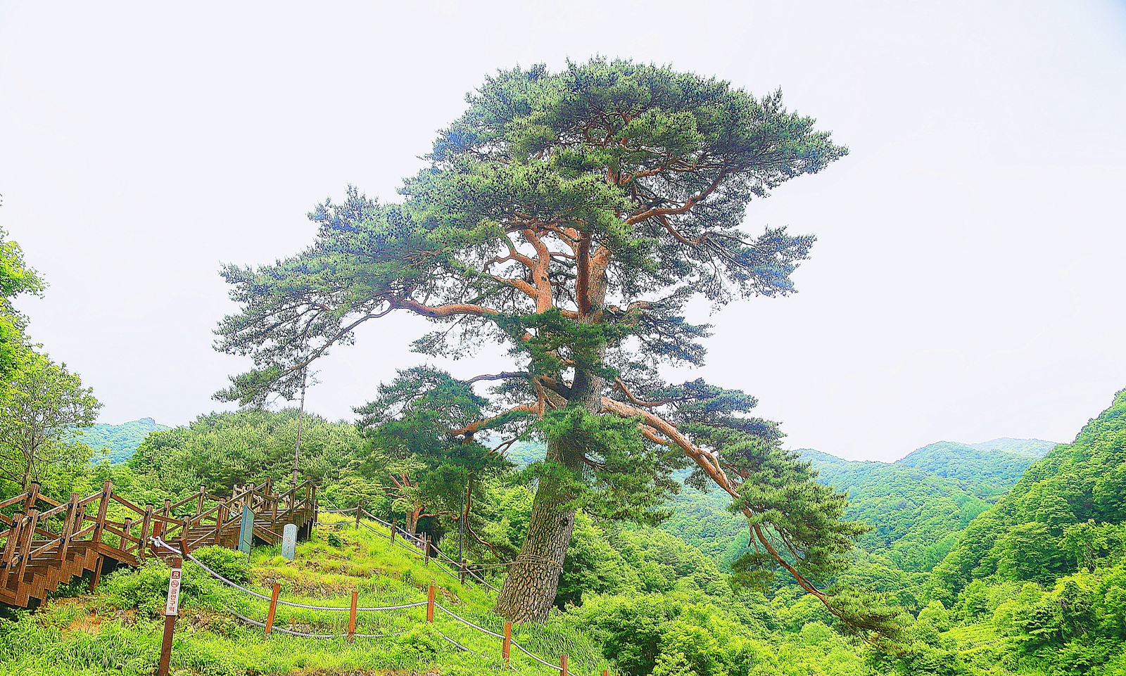 남원지리산 이미지