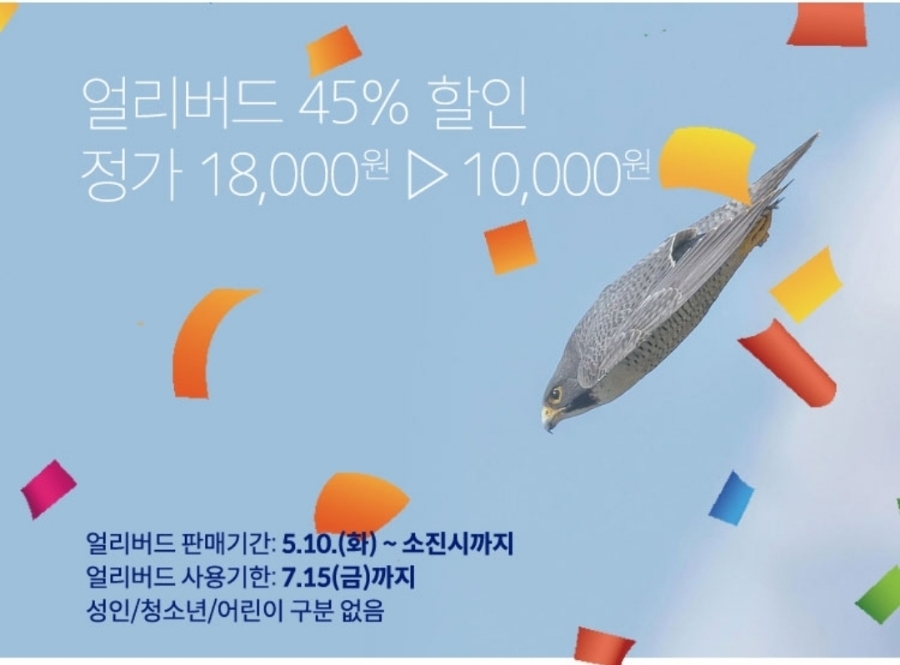 결정적순간 이미지