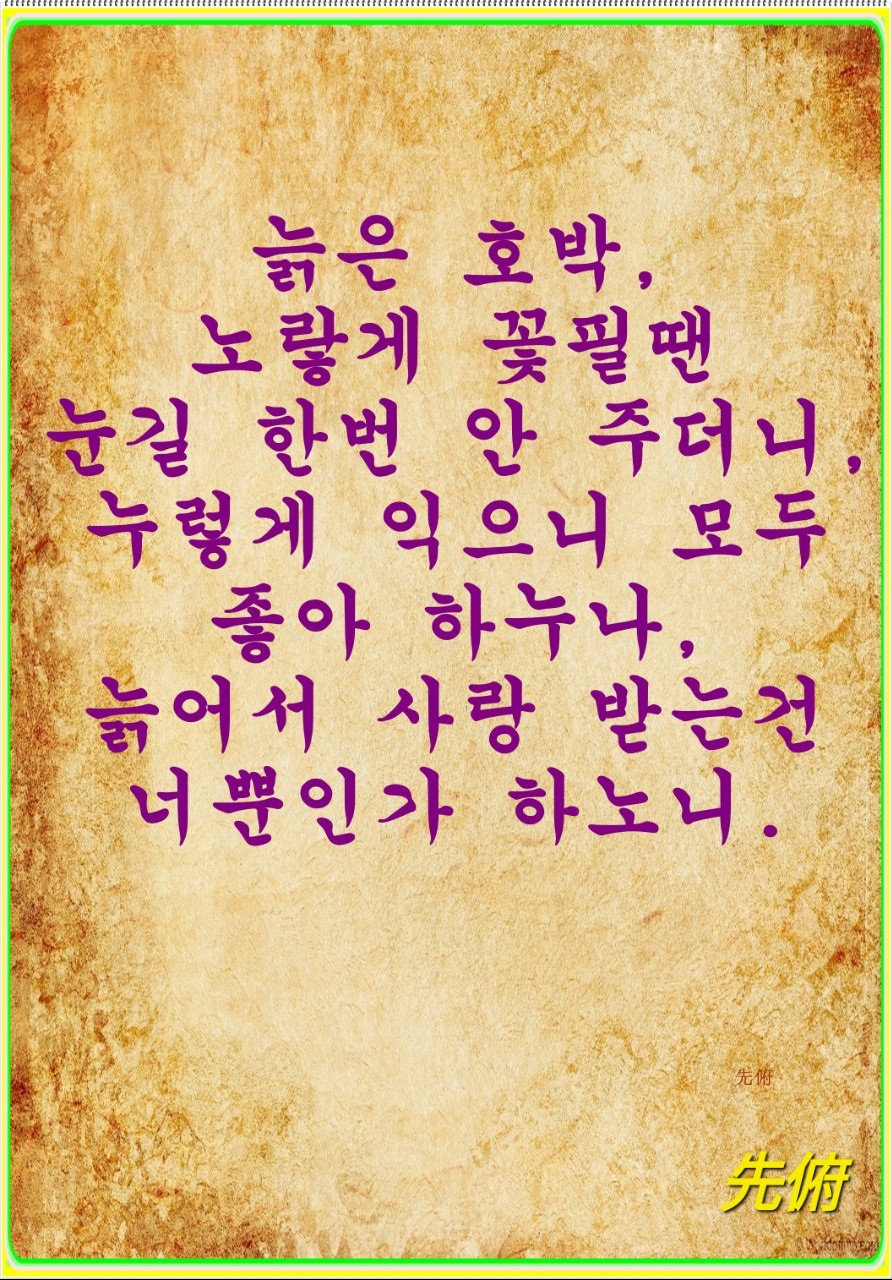 고매 이미지