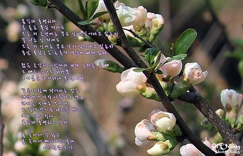 동행하다 이미지