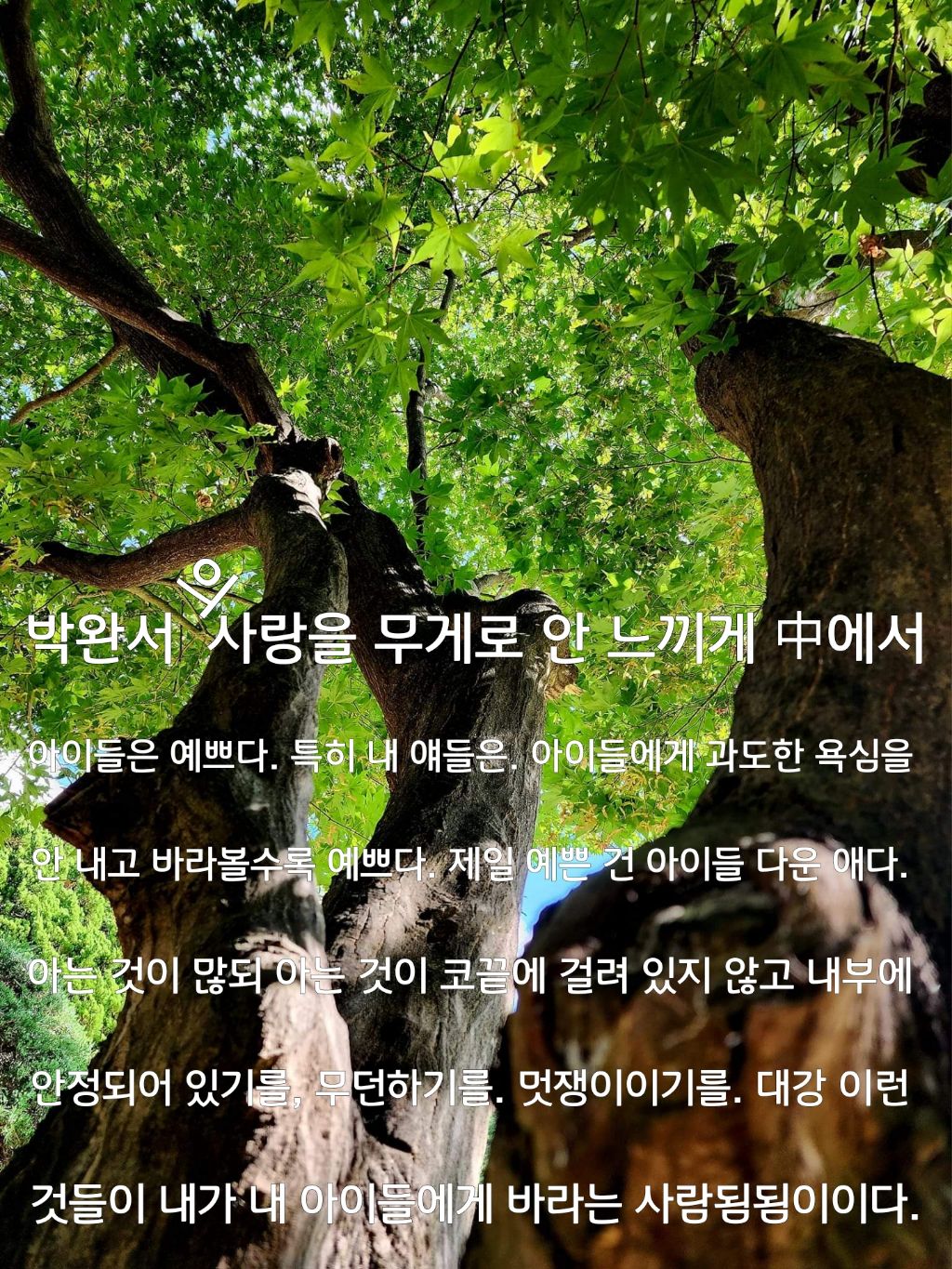 무게로 이미지