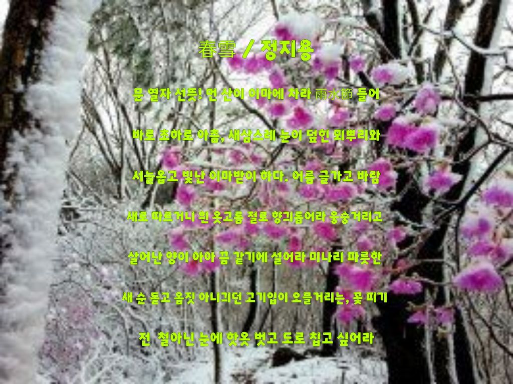 춘설 이미지