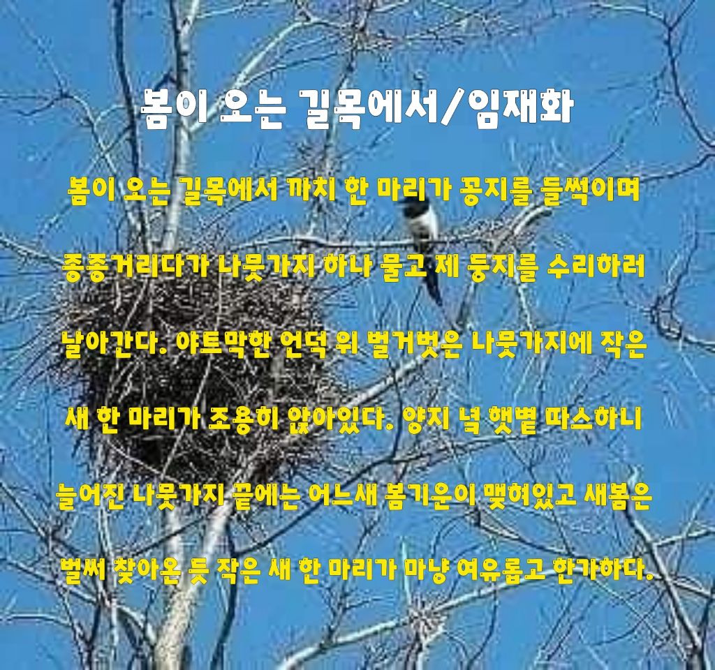 길목 이미지
