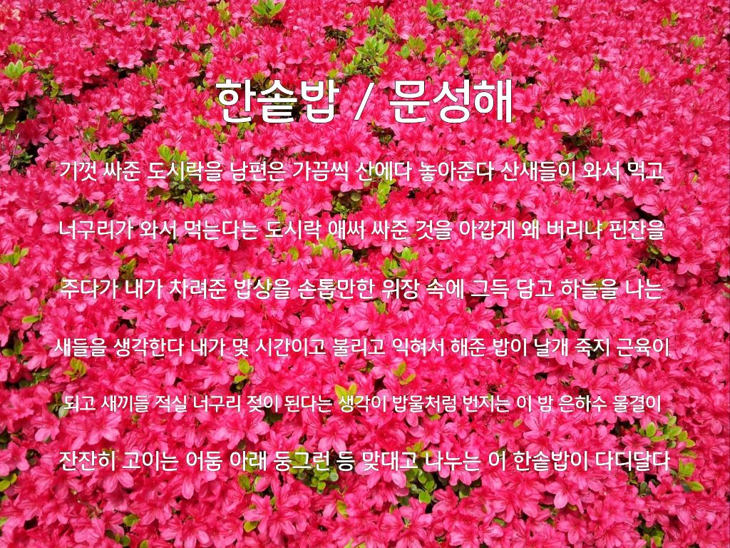 한솥밥 이미지