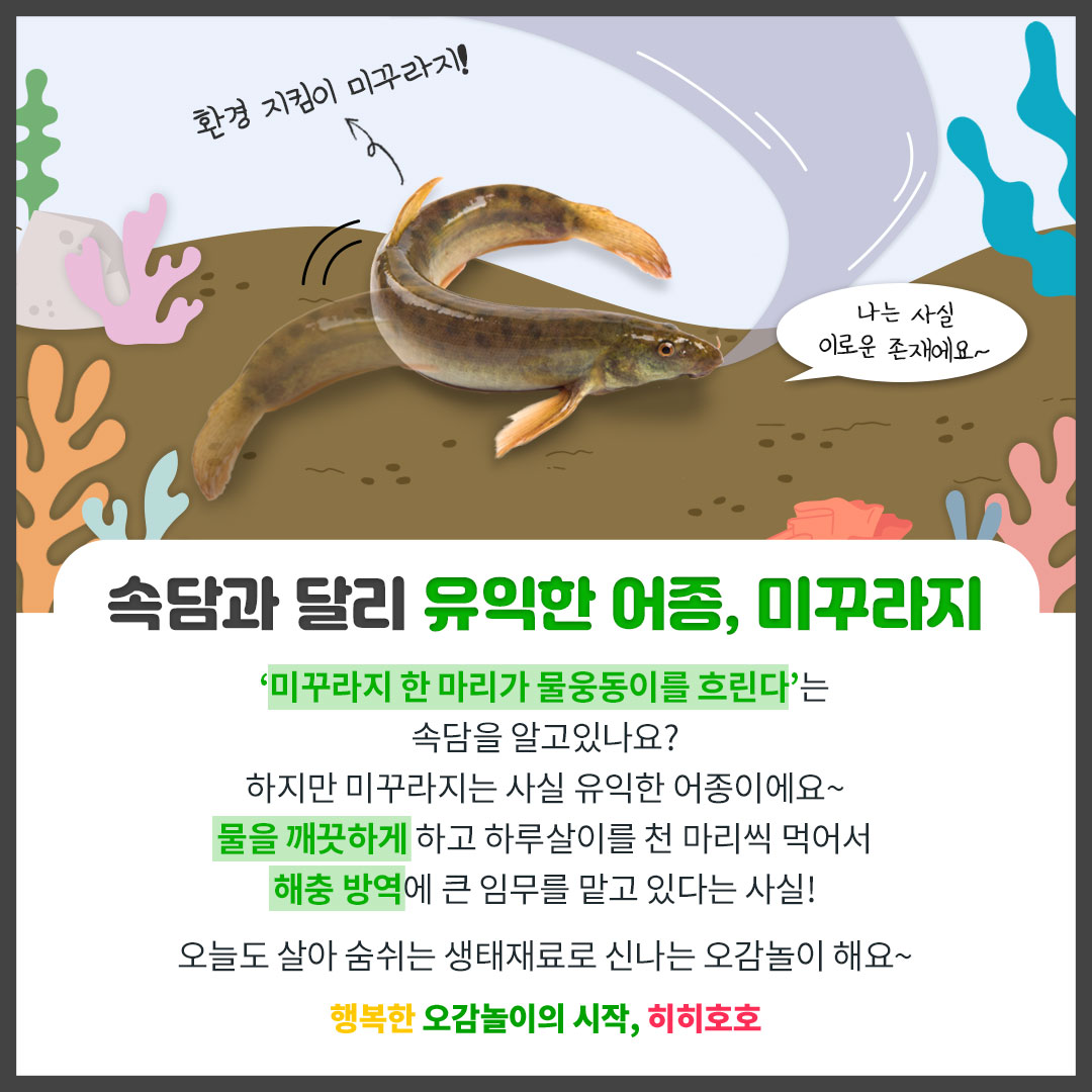 깨끗하게호호 이미지