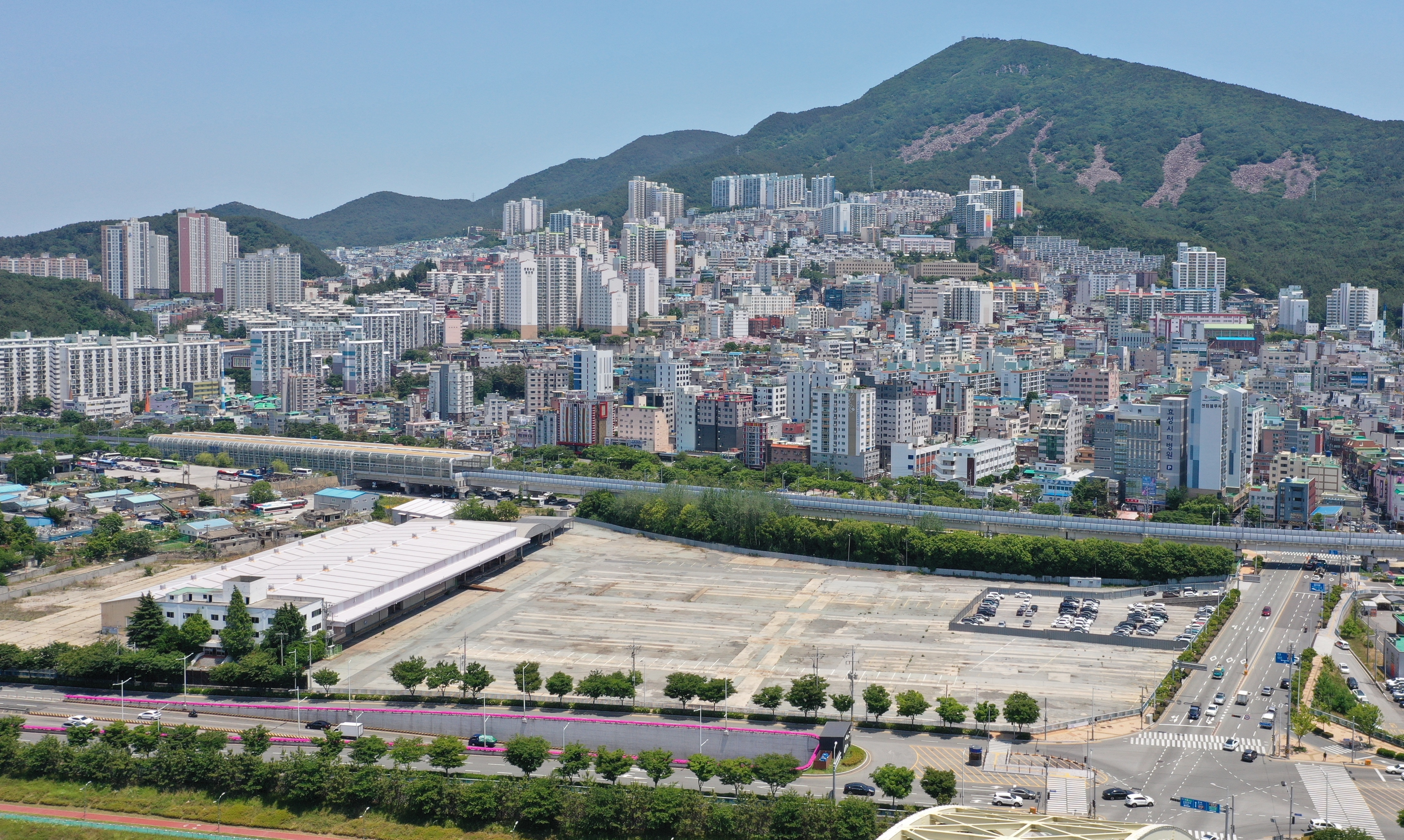 웨이브비어 이미지