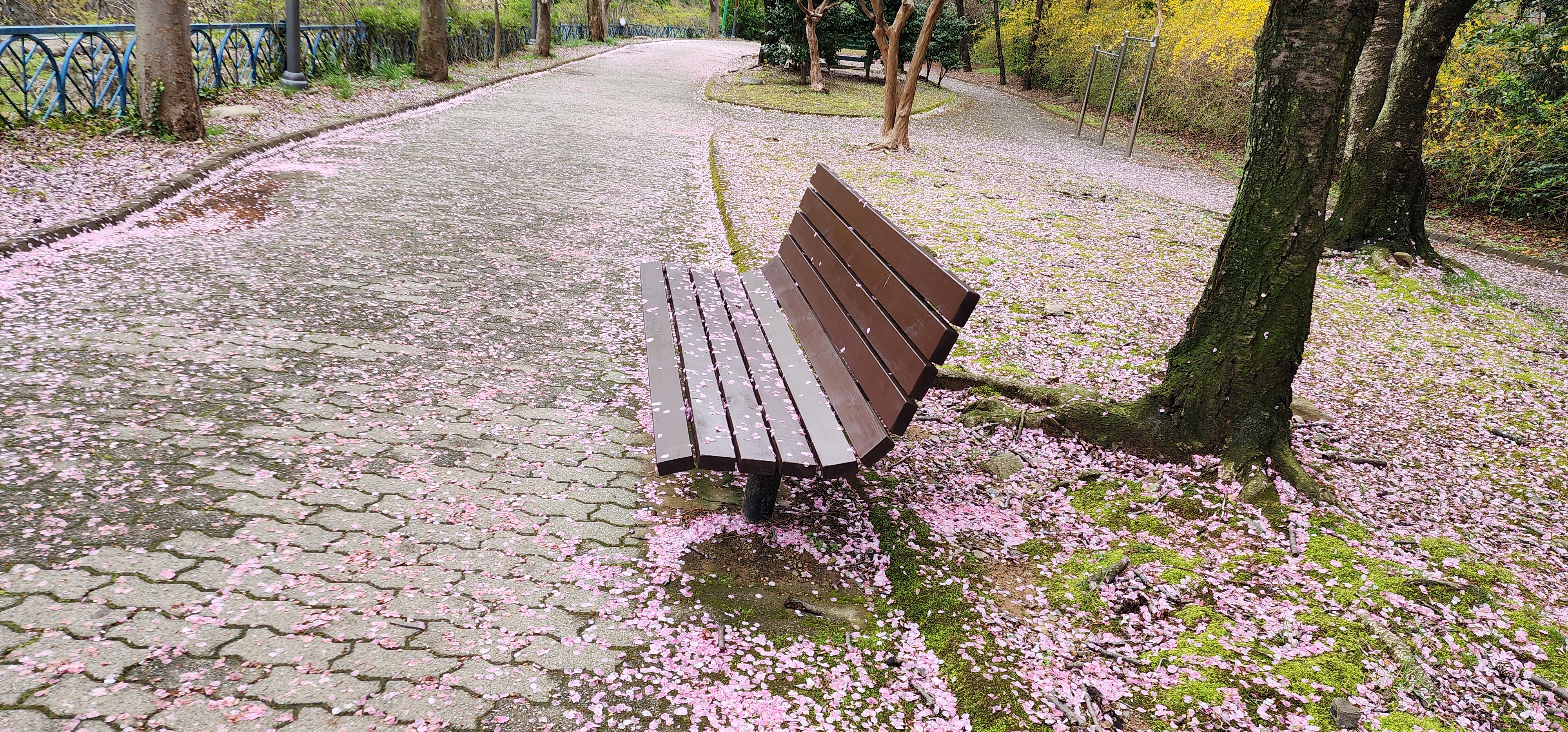 화창한병원 이미지