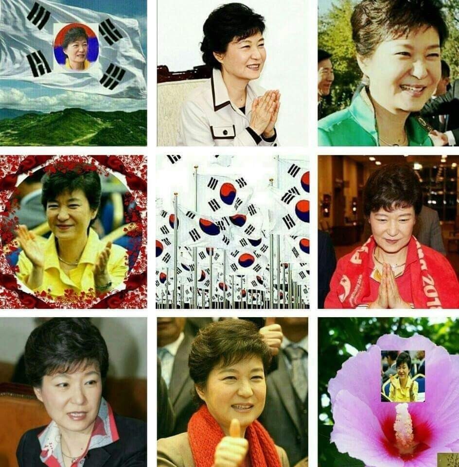 혜바라기 이미지