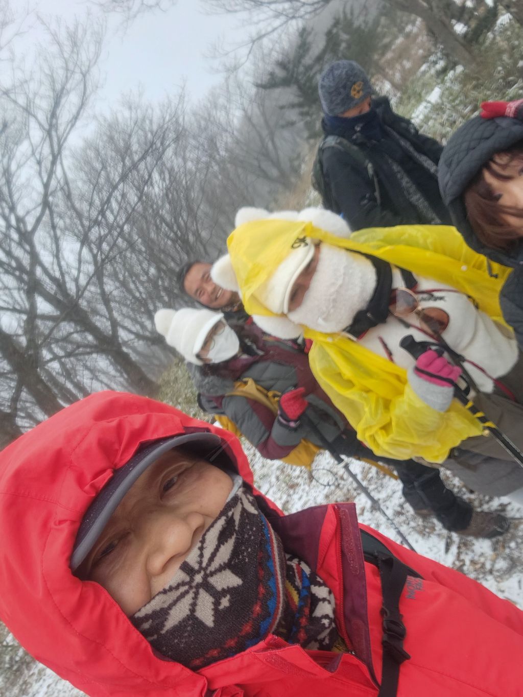 대관령어울림 이미지