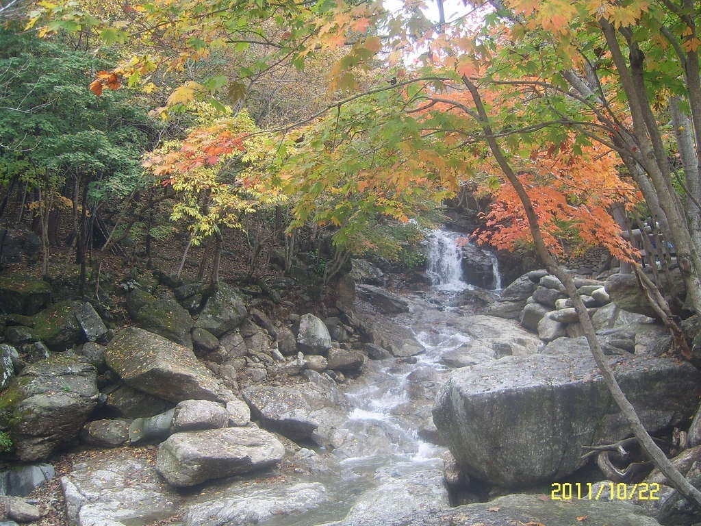 현대고수가스 이미지