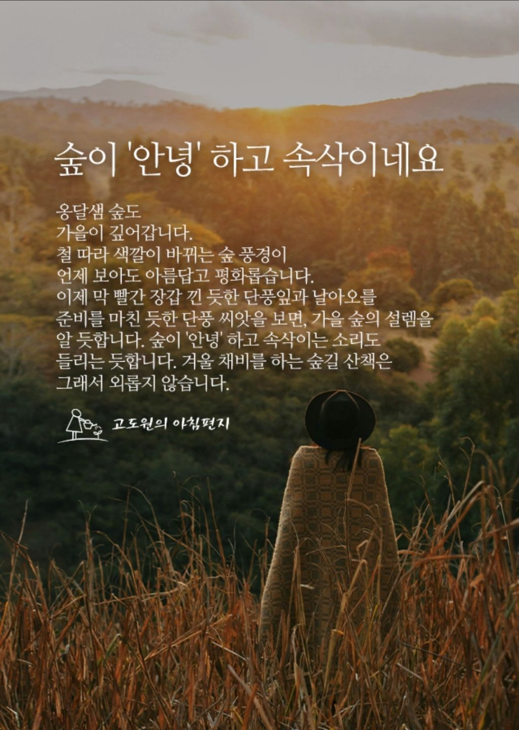 안녕숲 이미지
