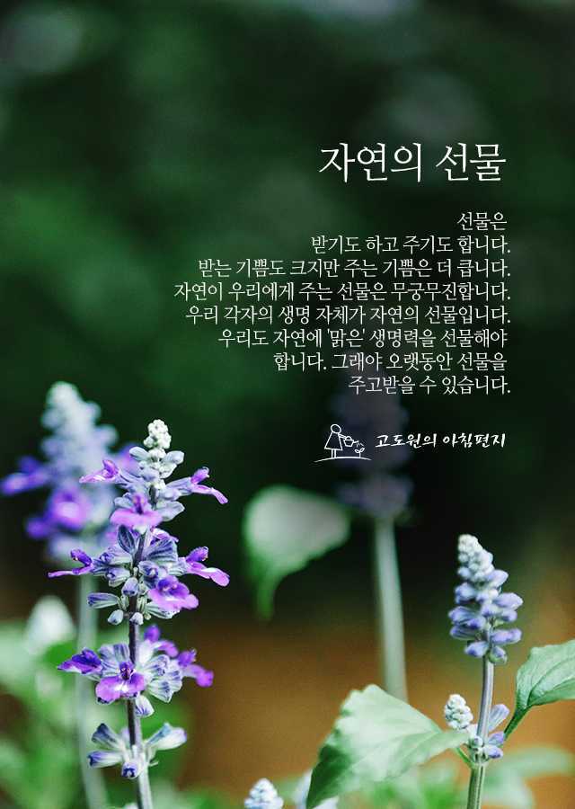 자연의선물 이미지