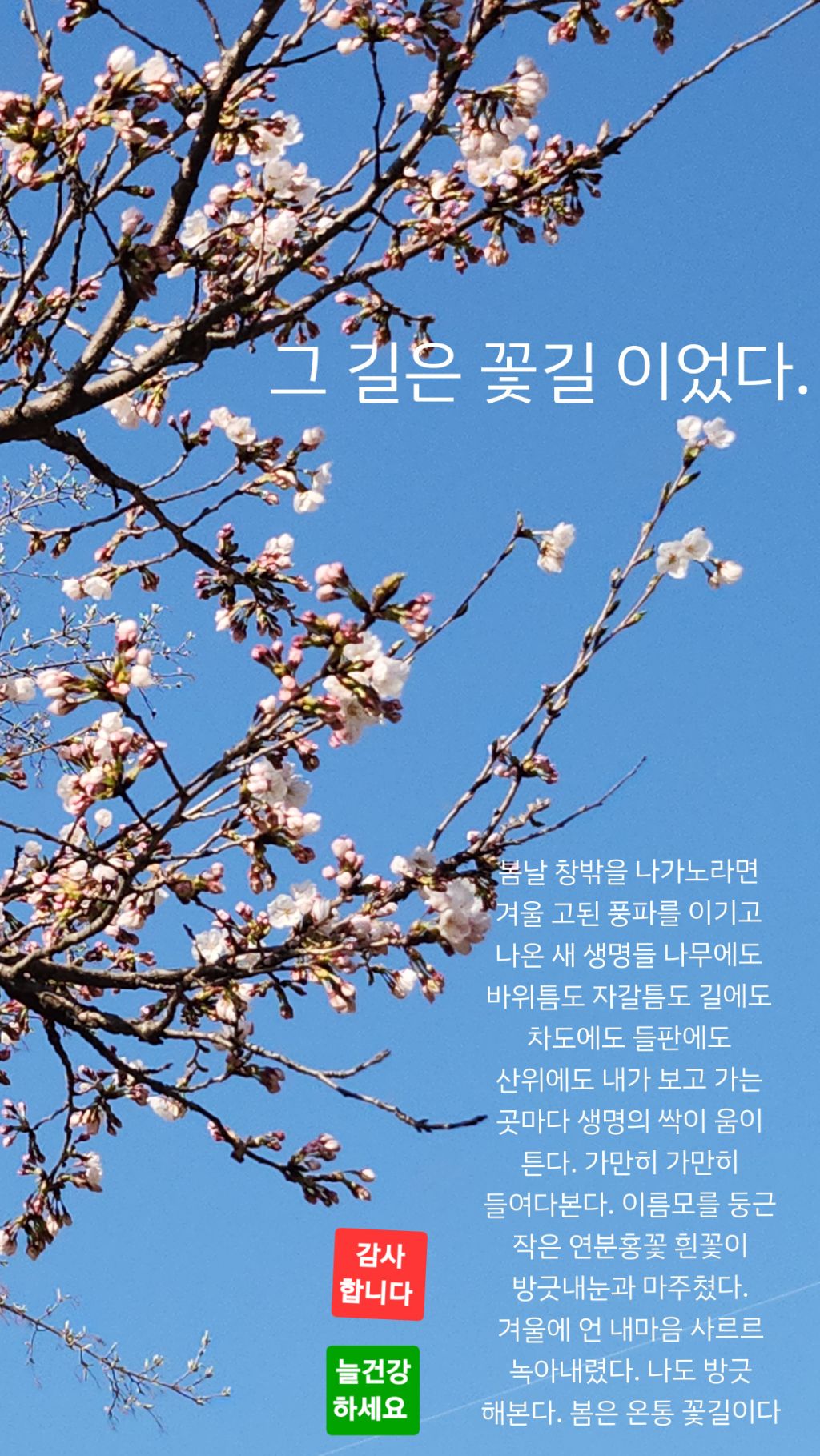 그꽃길 이미지