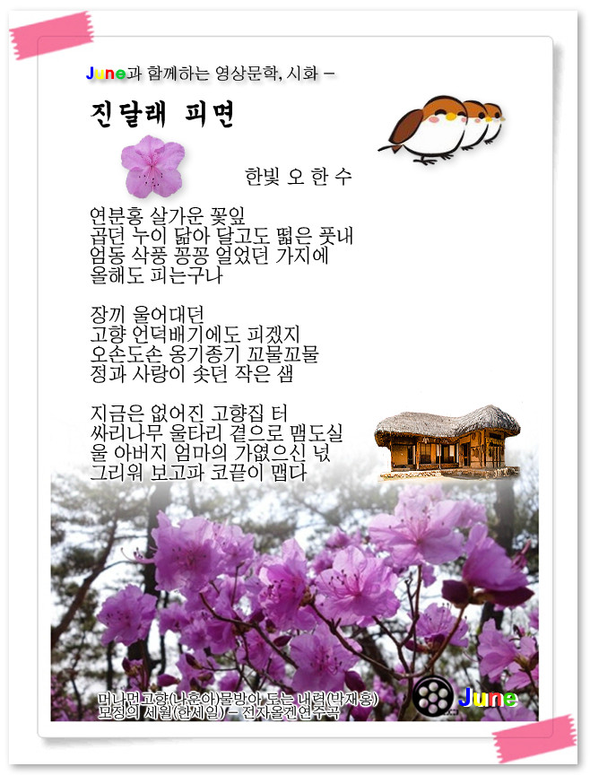 진달래까페 이미지