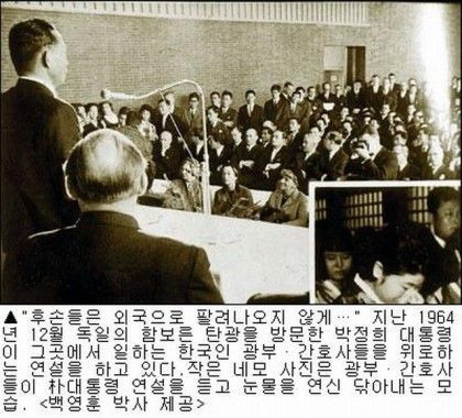 여명 이미지
