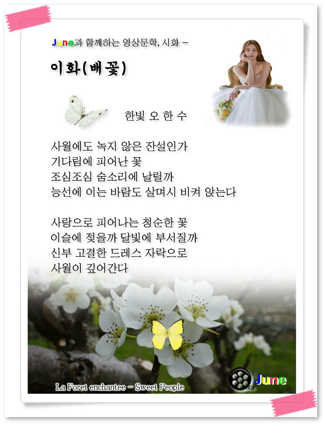 한빛카페 이미지