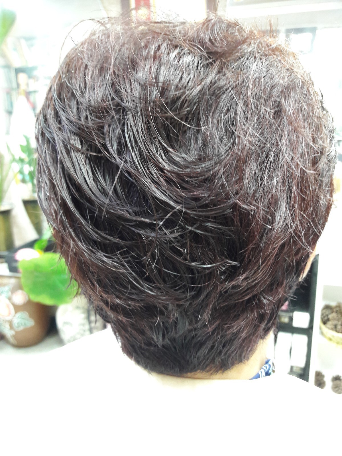 박귀월머리마을 이미지