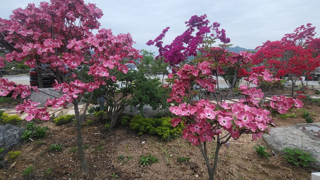 레드볼 이미지
