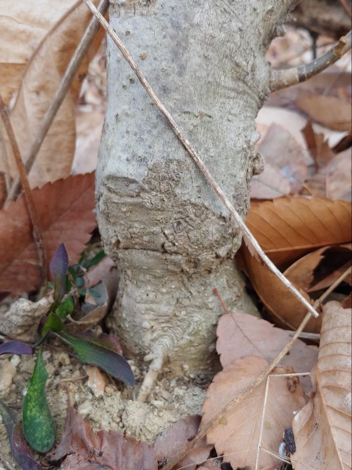 대빈 이미지