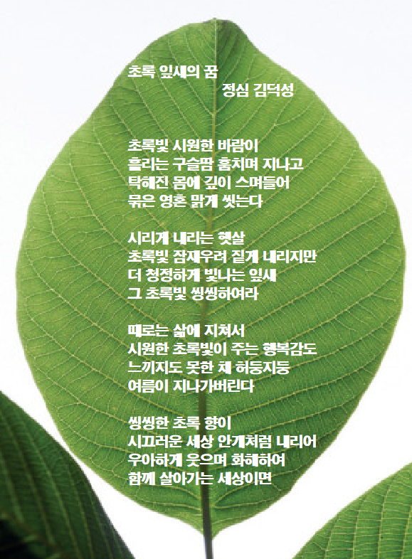 초록잎새 이미지