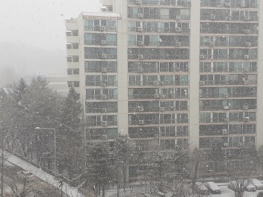 남쪽향기 이미지