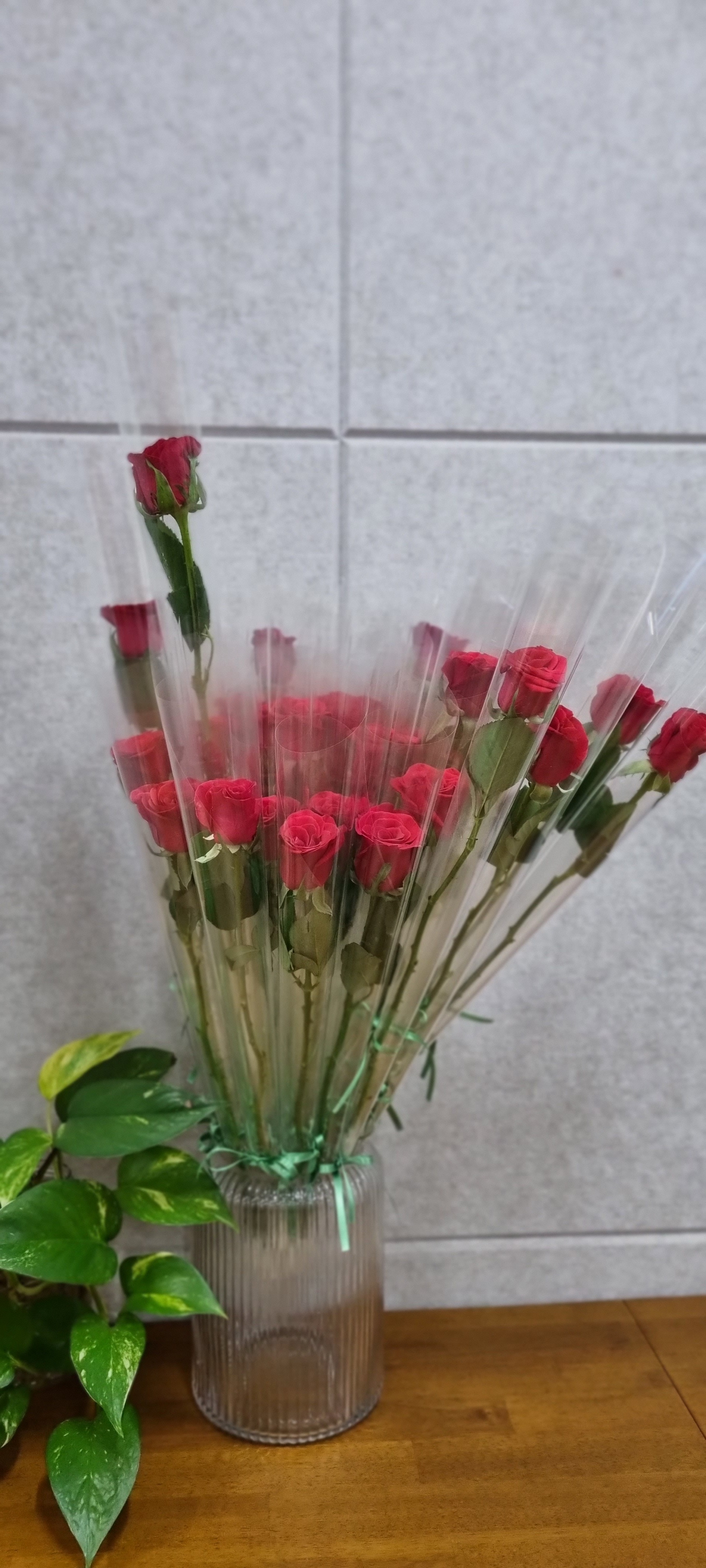 새그로지은 이미지
