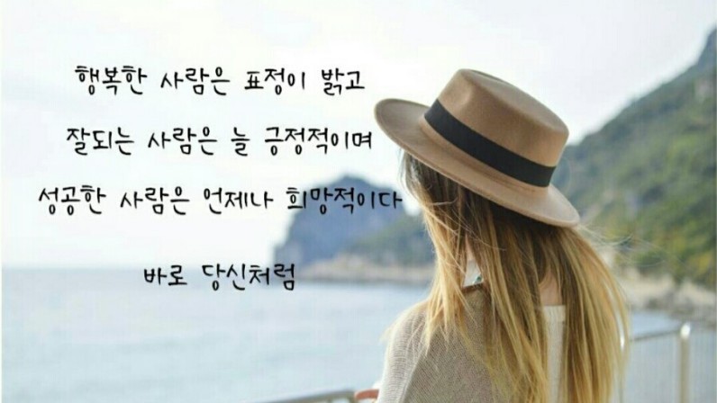 나이테 이미지