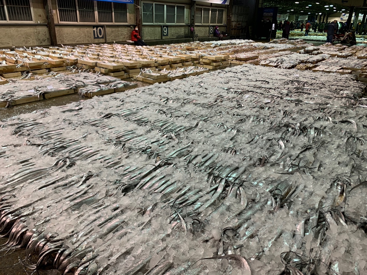 大곱창 이미지