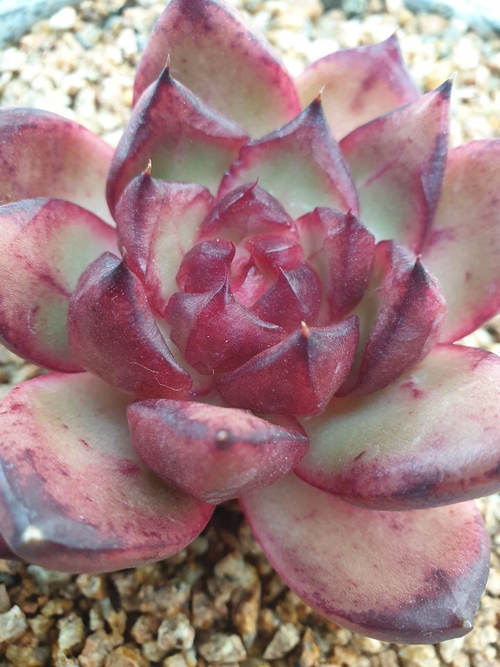 마리아유통 이미지