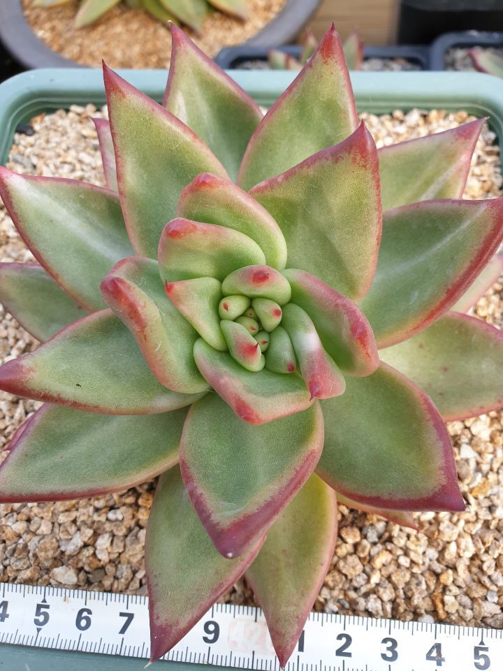 마리아유통 이미지