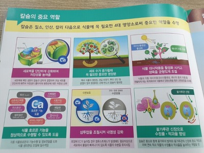 풀빈 이미지