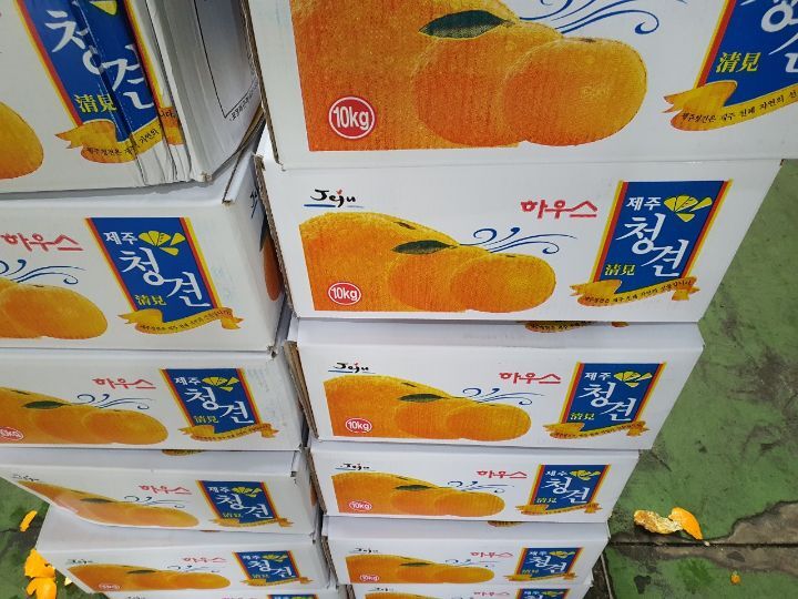 오렌지하우스 이미지
