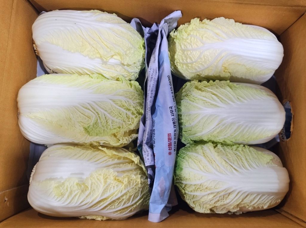 알배기 이미지