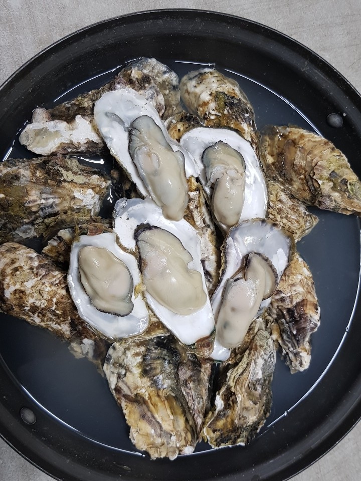 석화 이미지