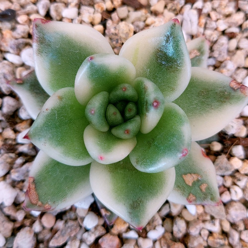 마리아유통 이미지