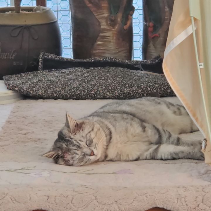 오떡케 이미지