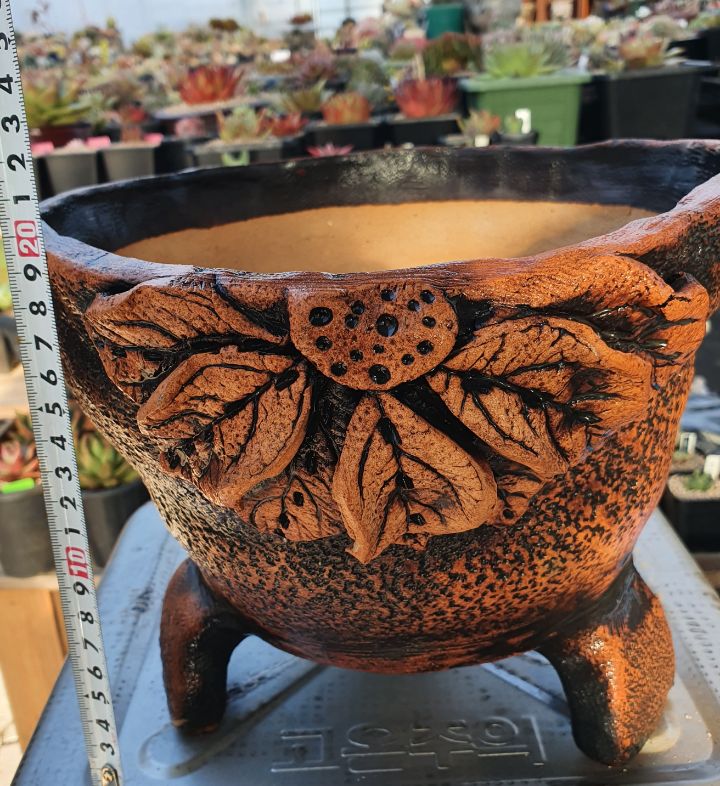 서인경화분 이미지