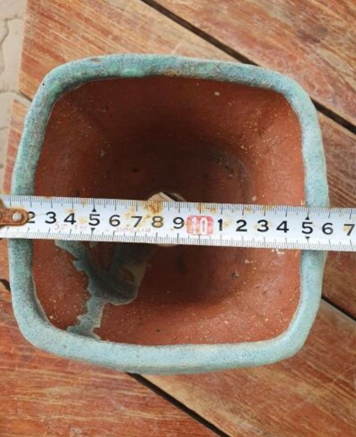 서인경화분 이미지